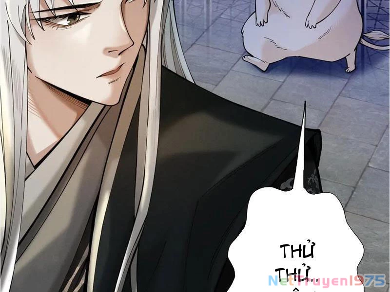 Gặp Mạnh Thì Mạnh, Ta Tu Vi Vô Thượng Hạn Chapter 39 - 52