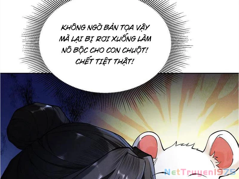 Gặp Mạnh Thì Mạnh, Ta Tu Vi Vô Thượng Hạn Chapter 39 - 109