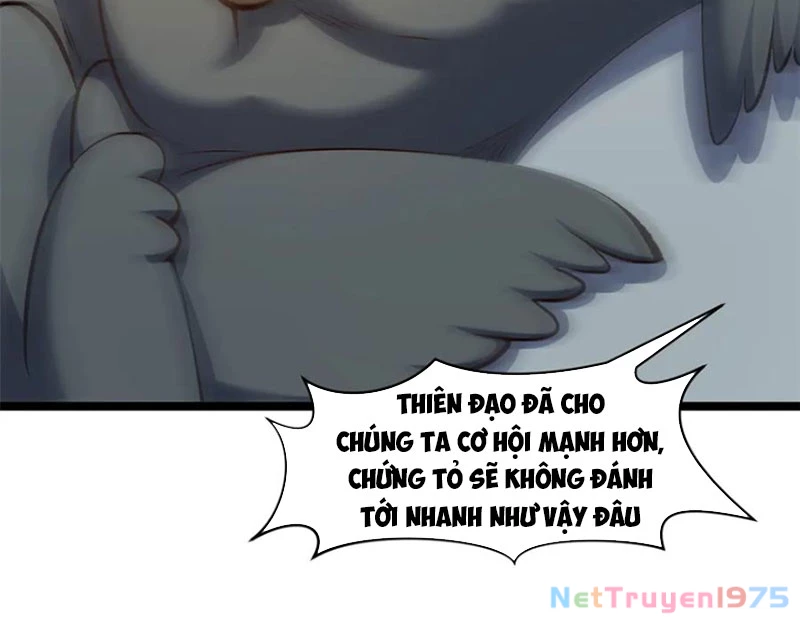 Đỉnh Cấp Khí Vận, Lặng Lẽ Tu Luyện Ngàn Năm Chapter 214 - 19