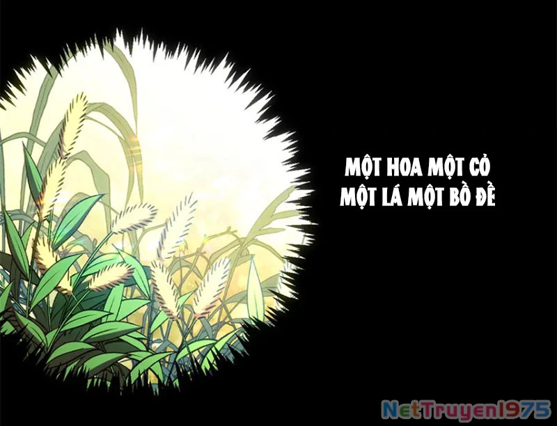 Đỉnh Cấp Khí Vận, Lặng Lẽ Tu Luyện Ngàn Năm Chapter 214 - 78