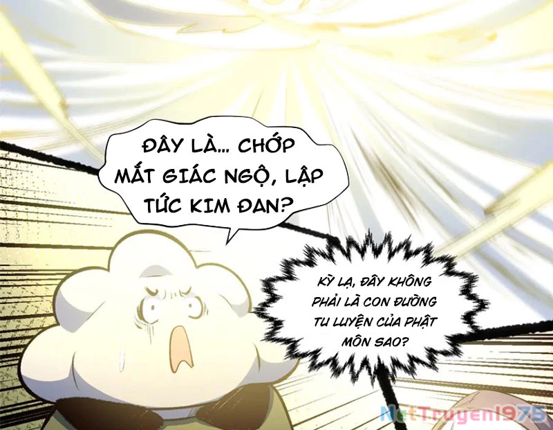 Đỉnh Cấp Khí Vận, Lặng Lẽ Tu Luyện Ngàn Năm Chapter 214 - 120