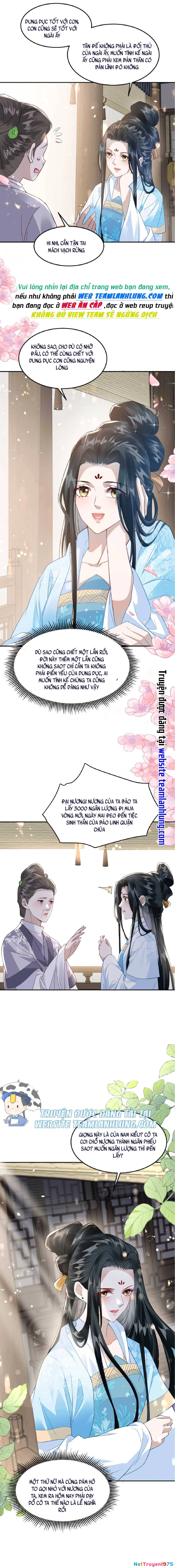 Nhiếp Chính Vương Bệnh Kiều Được Sủng Ái Chapter  8 - 5