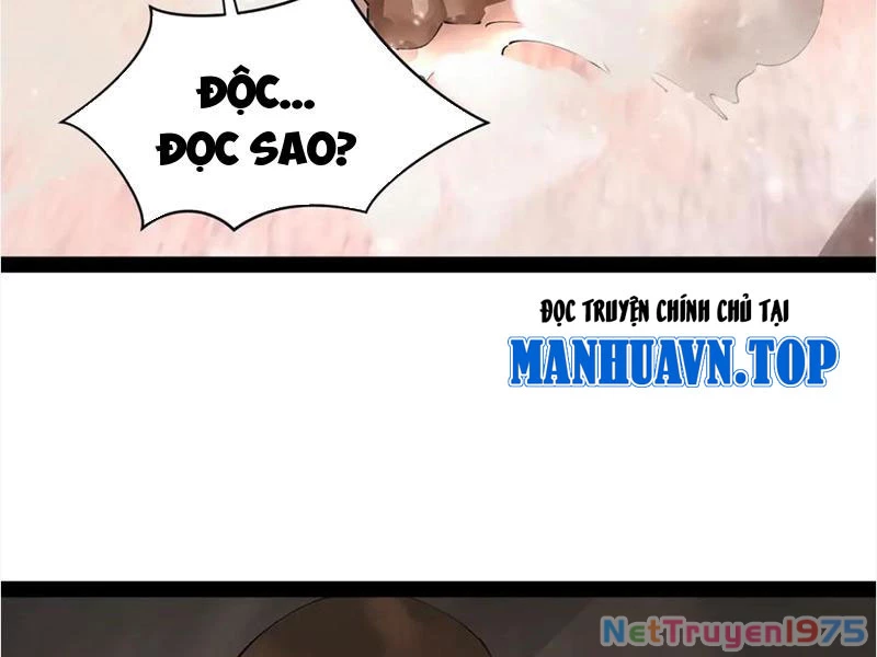 Chàng Rể Mạnh Nhất Lịch Sử Chapter 292 - 9