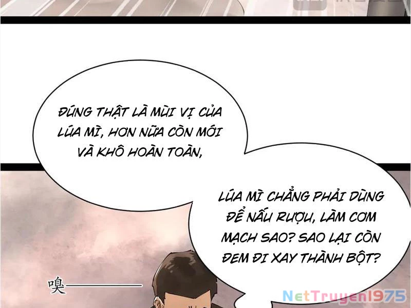 Chàng Rể Mạnh Nhất Lịch Sử Chapter 292 - 13