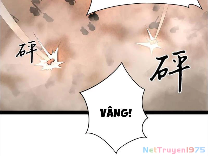 Chàng Rể Mạnh Nhất Lịch Sử Chapter 292 - 17