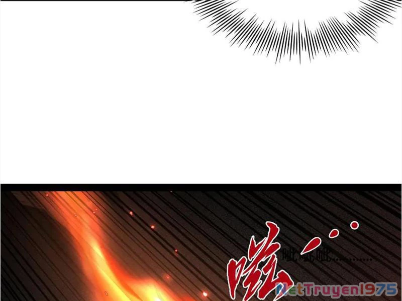 Chàng Rể Mạnh Nhất Lịch Sử Chapter 292 - 25