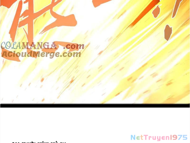 Chàng Rể Mạnh Nhất Lịch Sử Chapter 292 - 31