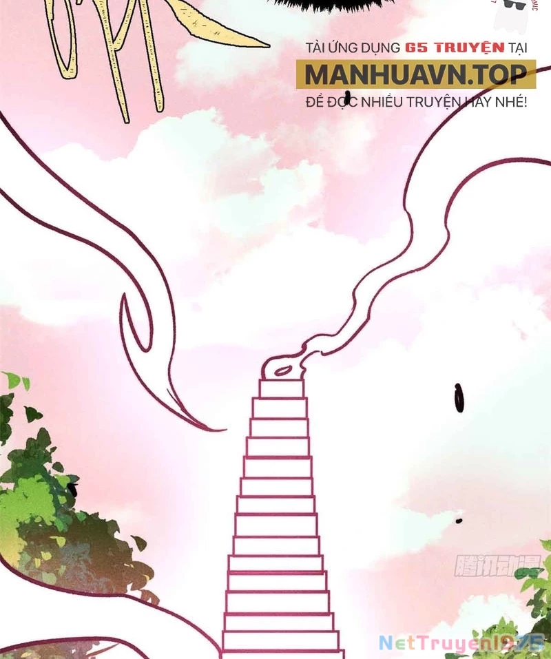 Vạn Cổ Tối Cường Tông Chapter 417 - Trang 2