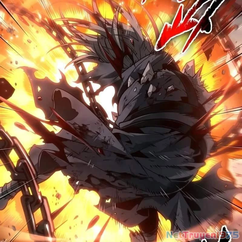 Mạo Hiểm Giả Cuối Cùng Chapter 68 - 45