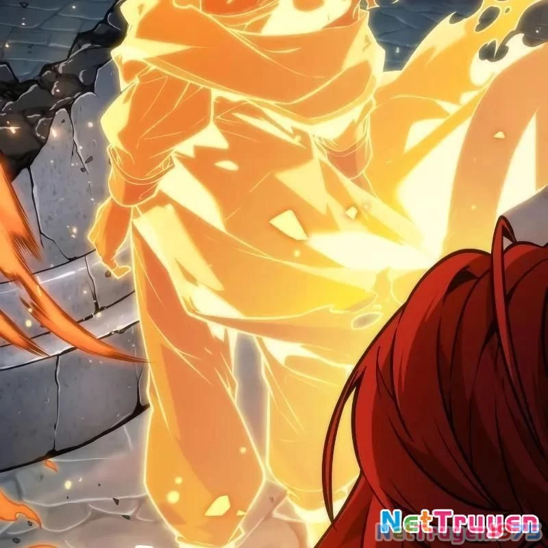 Mạo Hiểm Giả Cuối Cùng Chapter 68 - 211