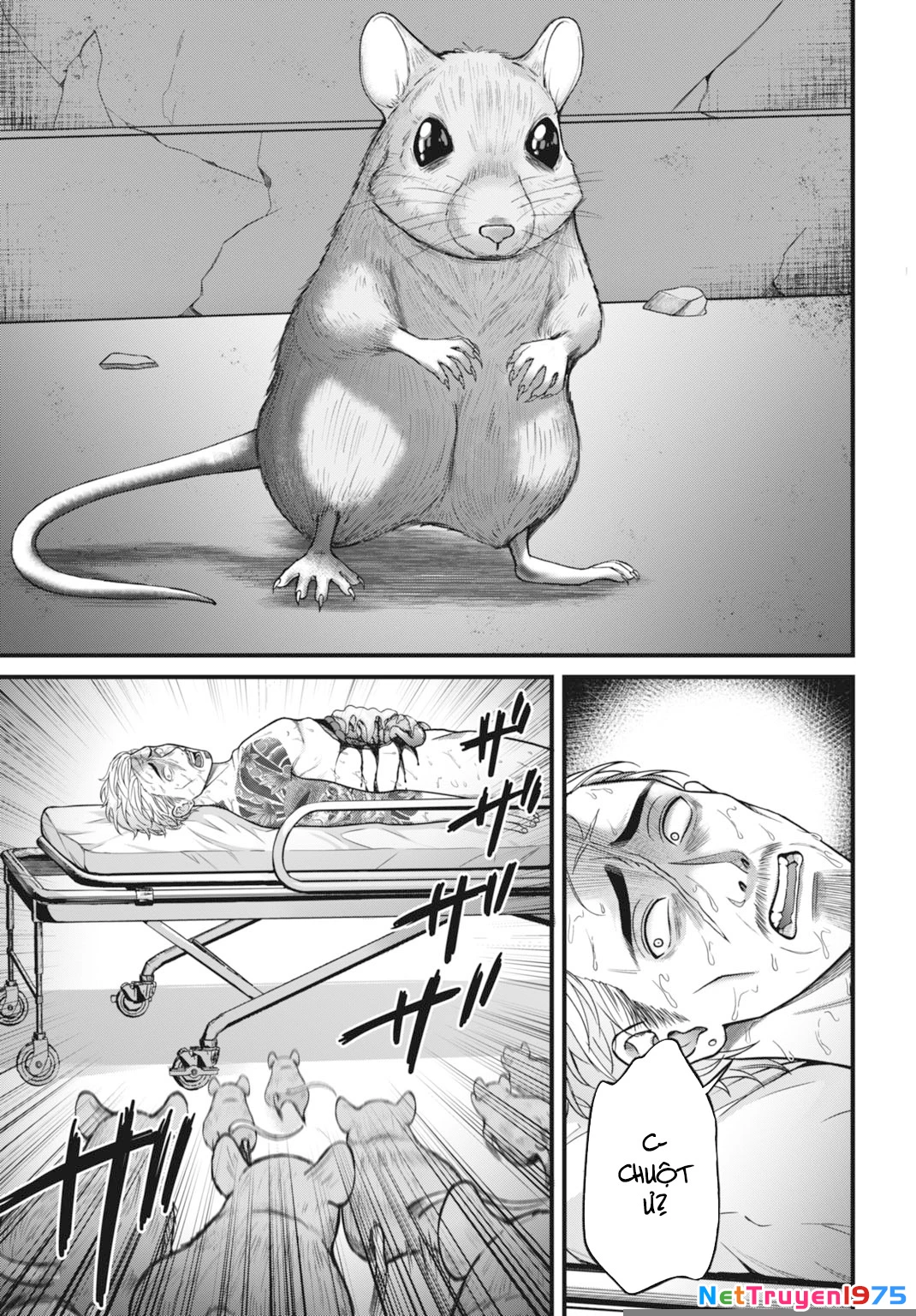 Diagnosis From a Fallen Angel Chapter 1 - 6