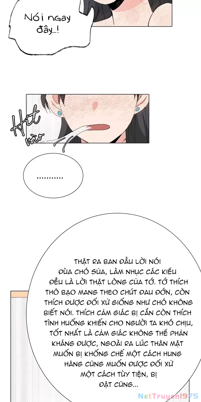 Tôi Bị Cô Nàng “Trà Xanh” Cùng Lớp Uy Hiếp Chapter 45 - 16