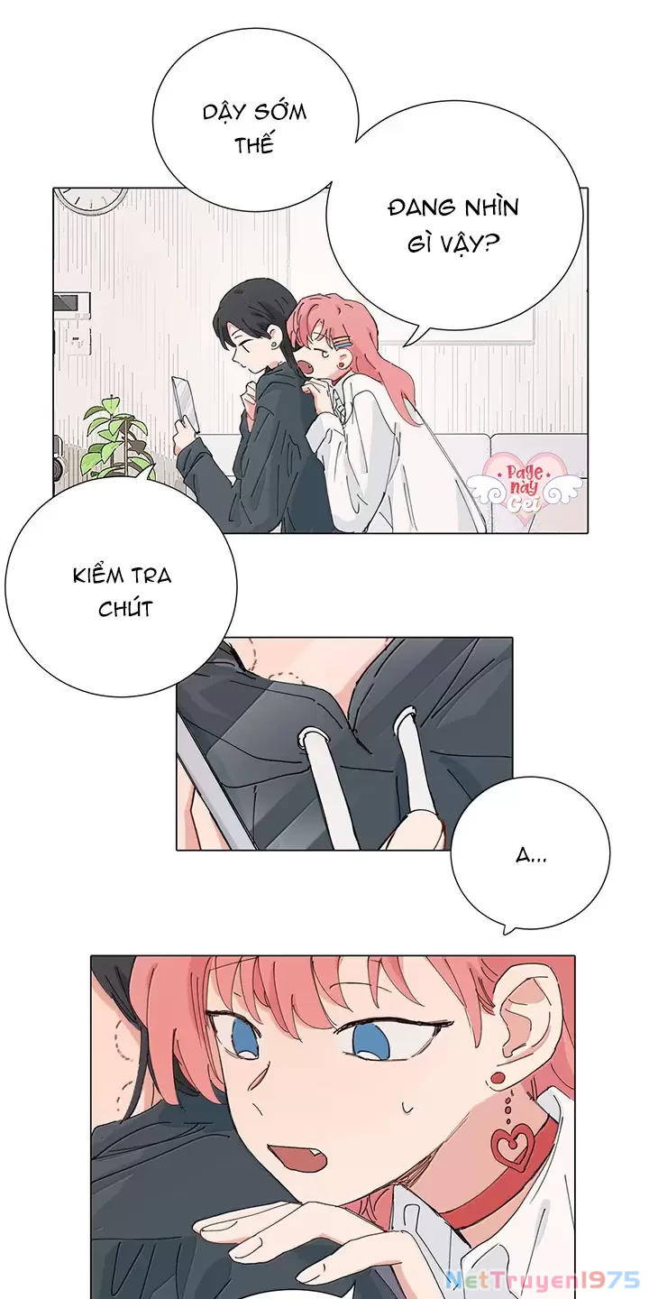 Tôi Bị Cô Nàng “Trà Xanh” Cùng Lớp Uy Hiếp Chapter 46 - 19