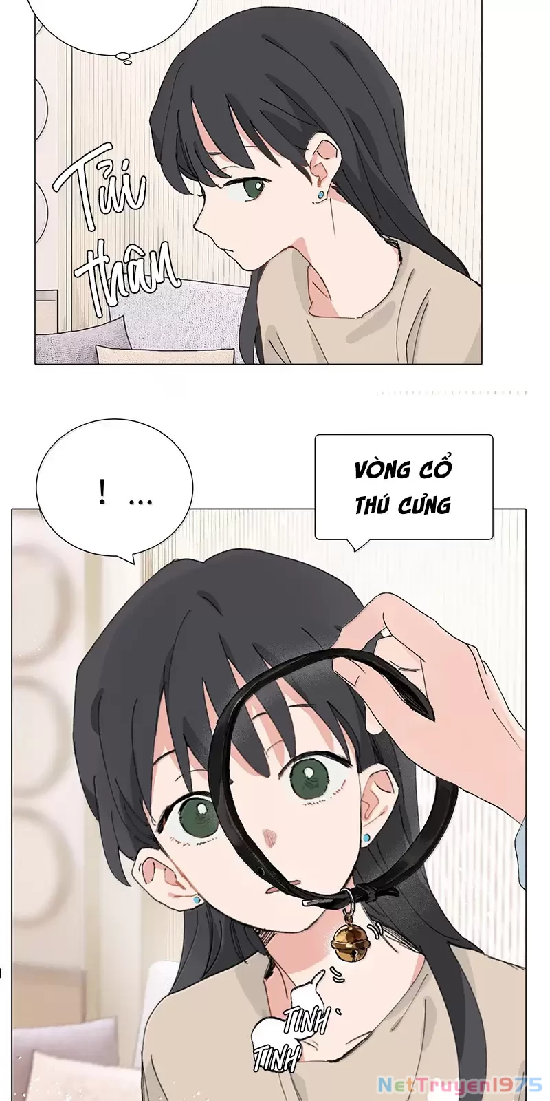 Tôi Bị Cô Nàng “Trà Xanh” Cùng Lớp Uy Hiếp Chapter 48 - 14