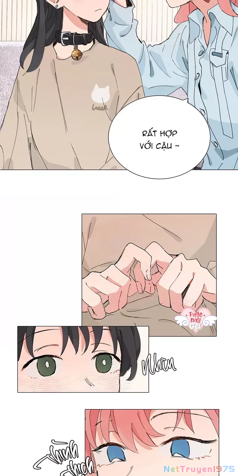 Tôi Bị Cô Nàng “Trà Xanh” Cùng Lớp Uy Hiếp Chapter 48 - 17