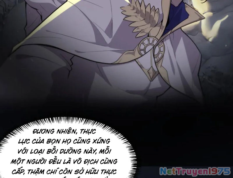 Thánh Hiệp Sĩ Cấp Sss Chapter 73 - Trang 2