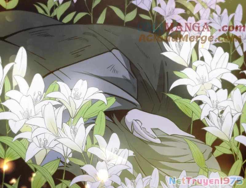 Thánh Hiệp Sĩ Cấp Sss Chapter 73 - Trang 2