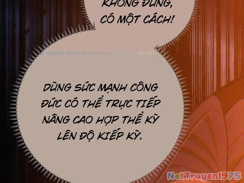 Đại Thừa Kỳ Mới Có Nghịch Tập Hệ Thống Chapter 62 - 135