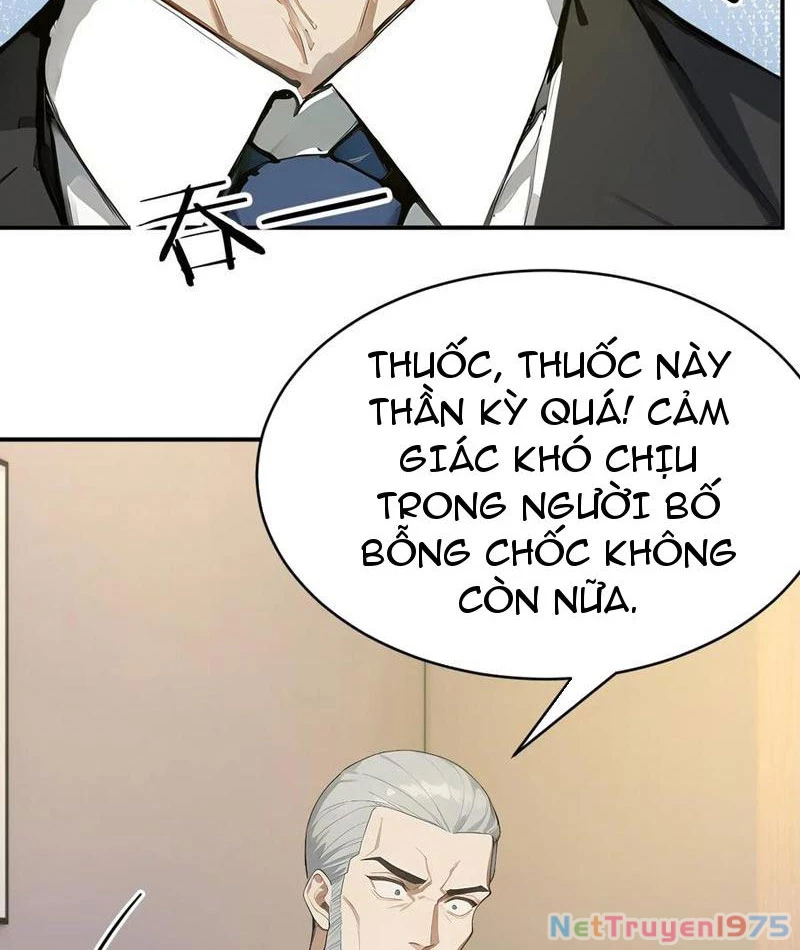 Vô Địch Bắt Đầu Từ Trúc Cơ Chapter 65 - Trang 2