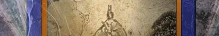 Quái Lực Loạn Thần Chapter 71 - 256