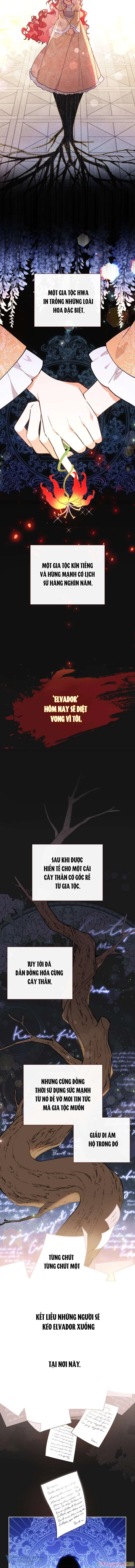 Bé Con Chốn Hoa Nở Chapter 1 - 3