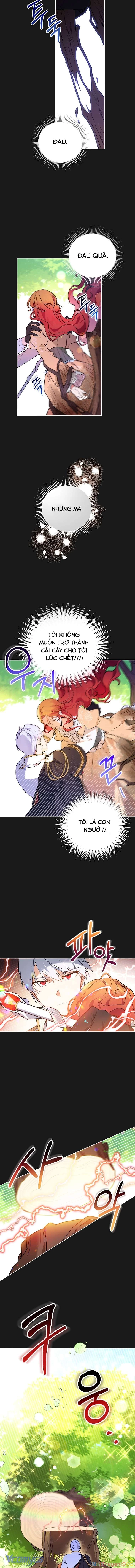 Bé Con Chốn Hoa Nở Chapter 1 - 9