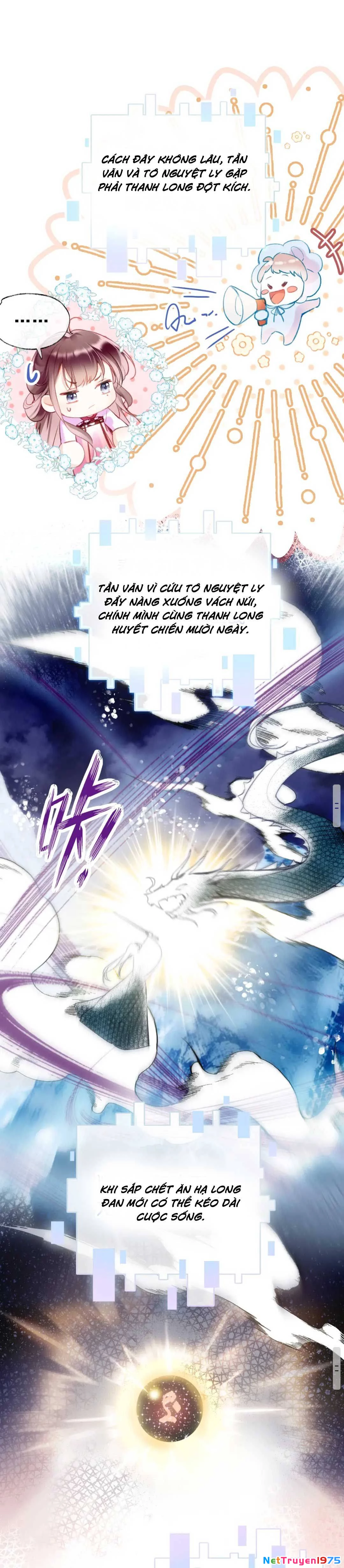 Vi Phu Của Ta Là Long Ngạo Thiên Chapter 2 - 9