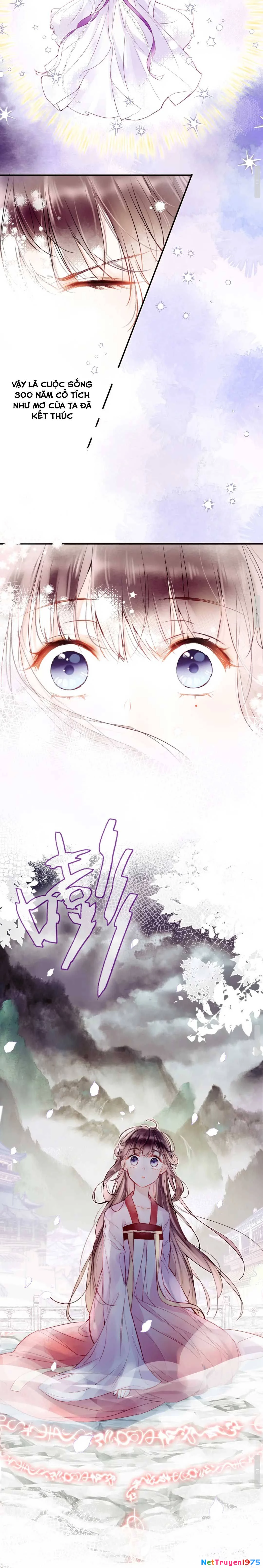 Vi Phu Của Ta Là Long Ngạo Thiên Chapter 1 - 22