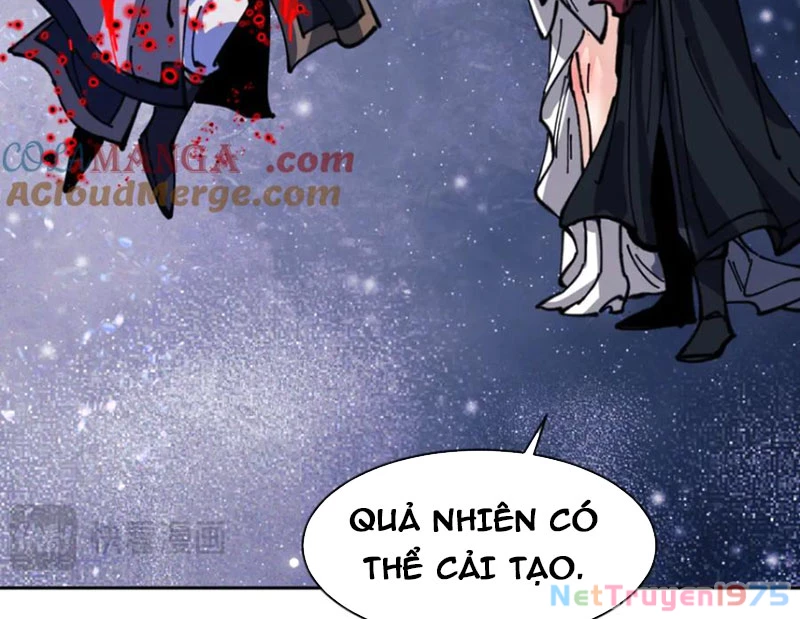 Sư Tôn: Nghịch Đồ Này Mới Không Phải Là Thánh Tử Chapter 127 - 72