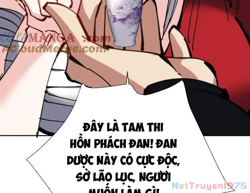 Sư Tôn: Nghịch Đồ Này Mới Không Phải Là Thánh Tử Chapter 127 - 155