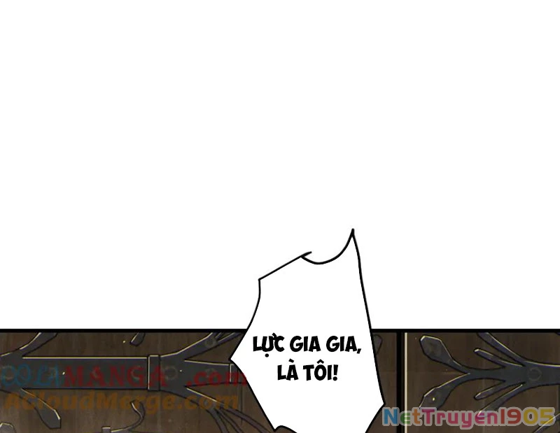 Thảm Họa Tử Linh Sư Chapter 173 - 63