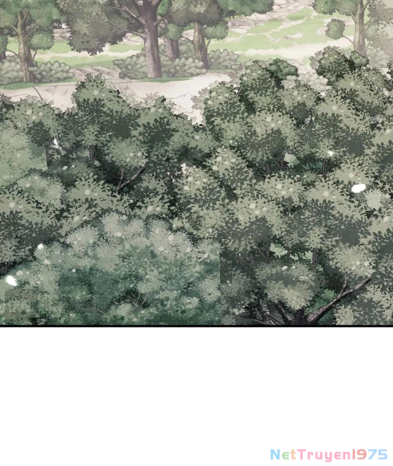Sư Tôn: Nghịch Đồ Này Mới Không Phải Là Thánh Tử Chapter 128 - 37