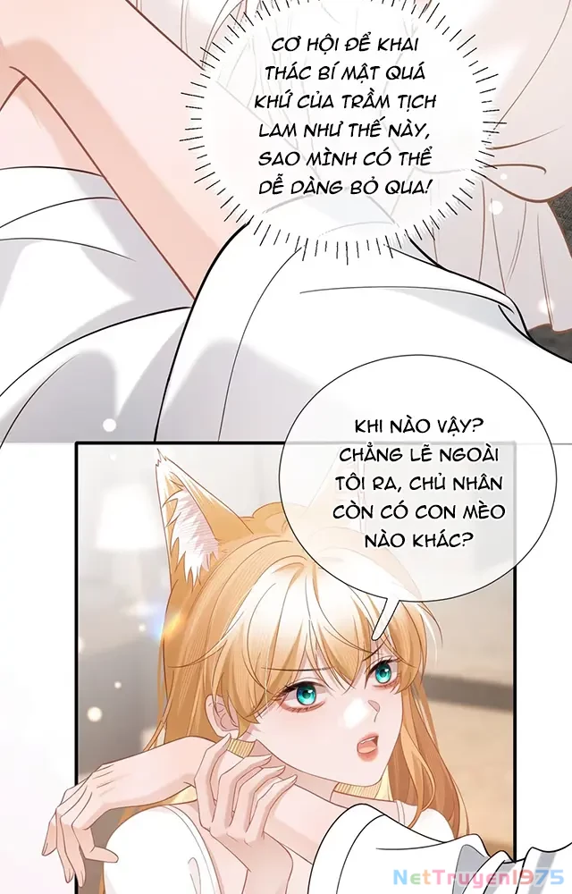 Thưa Ngài, Đuôi Của Ngài Không Giấu Được Nữa Rồi Chapter 19 - 13