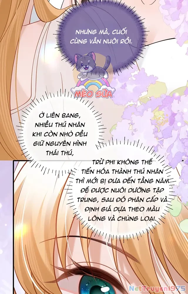 Thưa Ngài, Đuôi Của Ngài Không Giấu Được Nữa Rồi Chapter 19 - 17