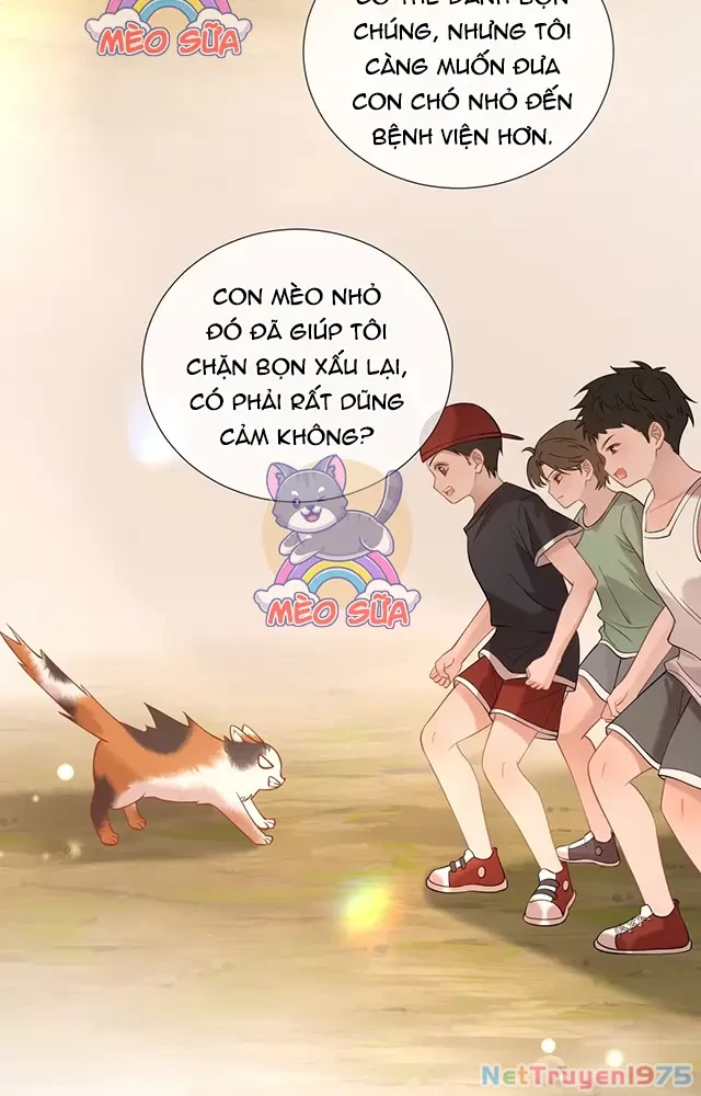 Thưa Ngài, Đuôi Của Ngài Không Giấu Được Nữa Rồi Chapter 19 - 22