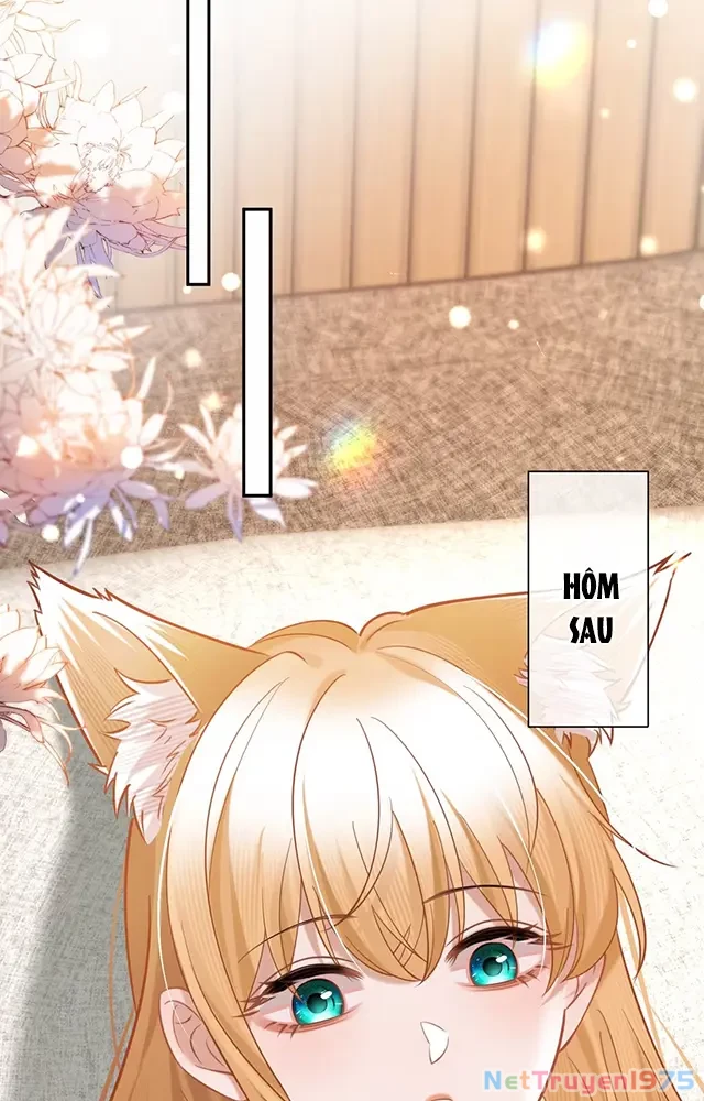 Thưa Ngài, Đuôi Của Ngài Không Giấu Được Nữa Rồi Chapter 19 - 34