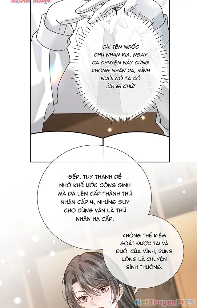 Thưa Ngài, Đuôi Của Ngài Không Giấu Được Nữa Rồi Chapter 21 - 20