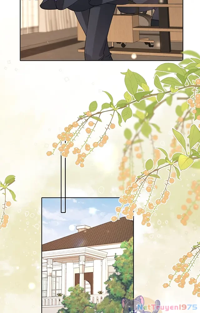 Thưa Ngài, Đuôi Của Ngài Không Giấu Được Nữa Rồi Chapter 21 - 25