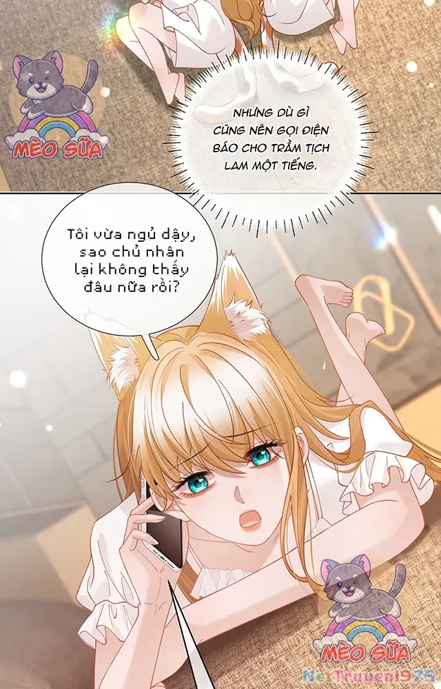 Thưa Ngài, Đuôi Của Ngài Không Giấu Được Nữa Rồi Chapter 21 - 27