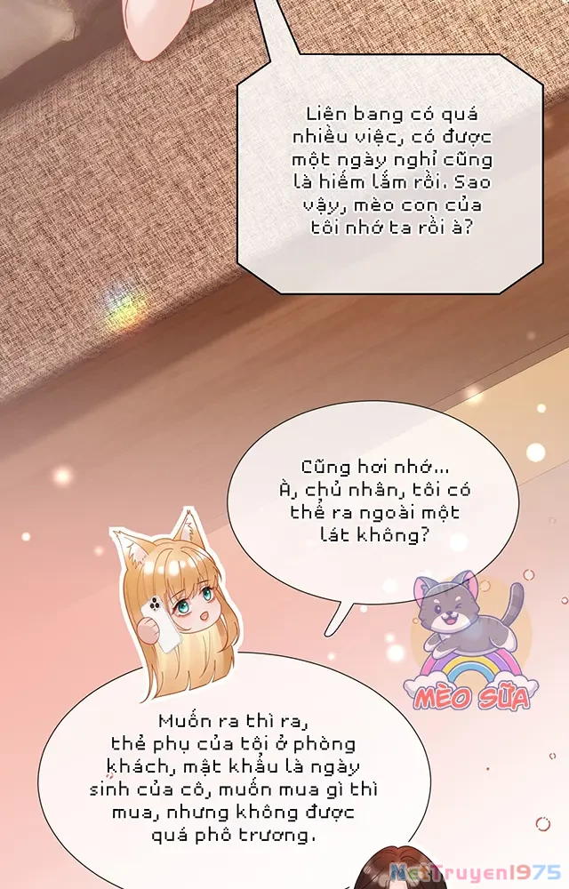Thưa Ngài, Đuôi Của Ngài Không Giấu Được Nữa Rồi Chapter 21 - 28