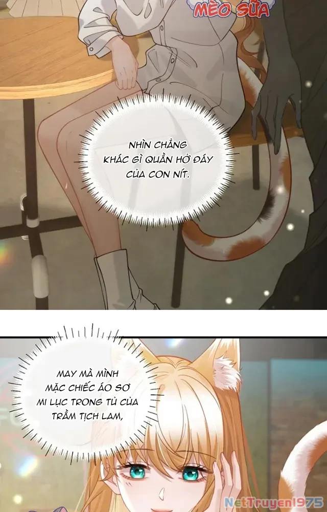 Thưa Ngài, Đuôi Của Ngài Không Giấu Được Nữa Rồi Chapter 22 - 10