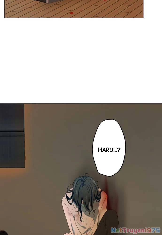 Trái Tim Của Luce Chapter 2 - 41