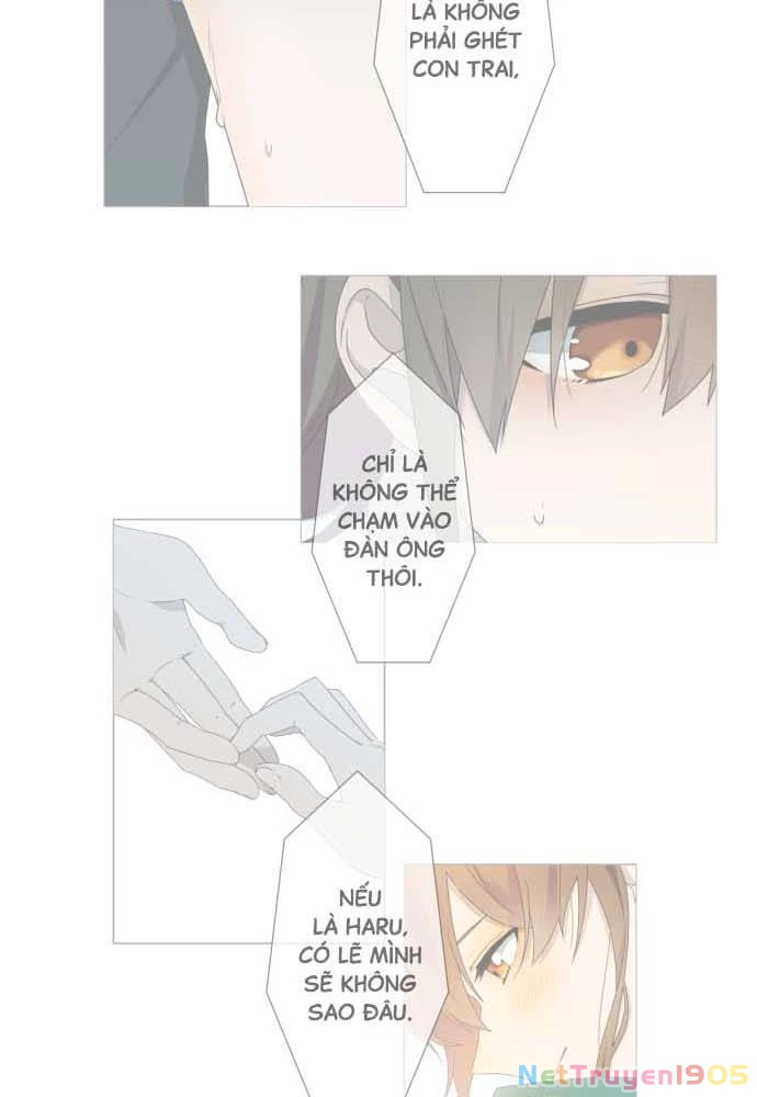 Trái Tim Của Luce Chapter 6 - 35