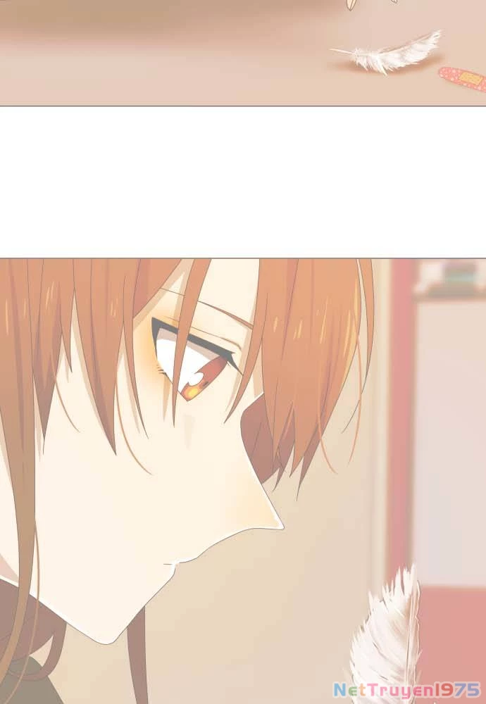 Trái Tim Của Luce Chapter 16 - 54
