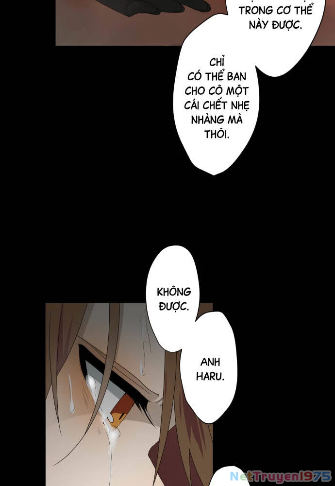 Trái Tim Của Luce Chapter 30 - 40