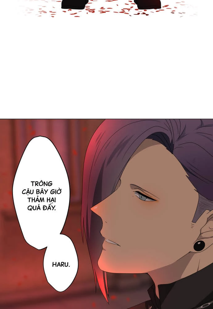 Trái Tim Của Luce Chapter 35 - 38