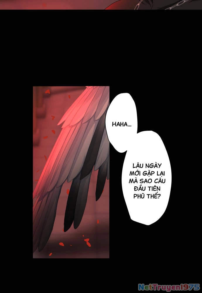 Trái Tim Của Luce Chapter 35 - 39