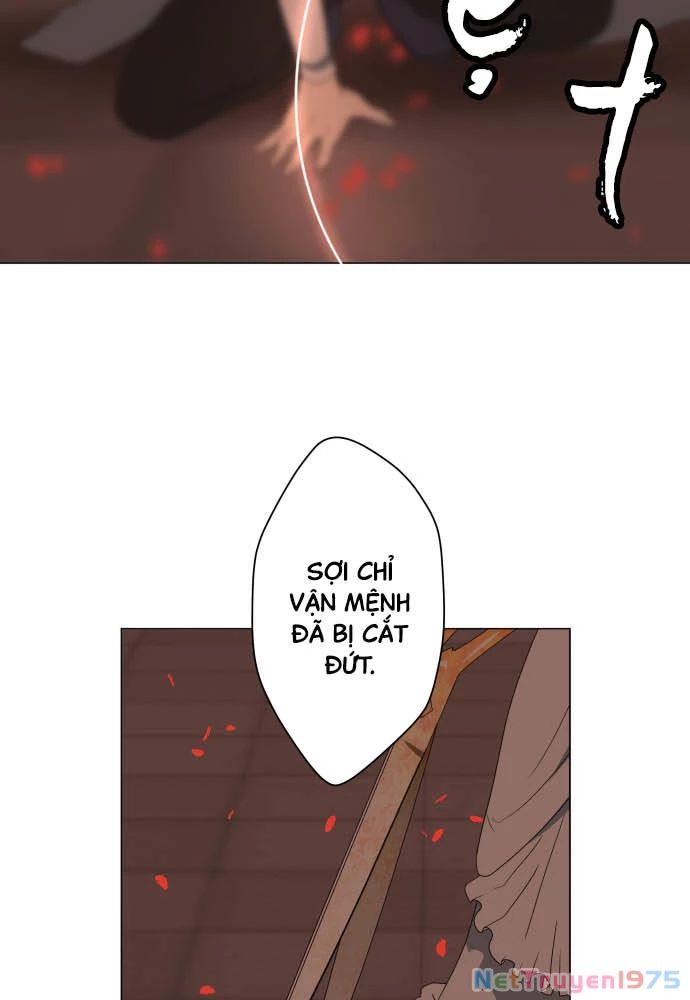 Trái Tim Của Luce Chapter 36 - 41