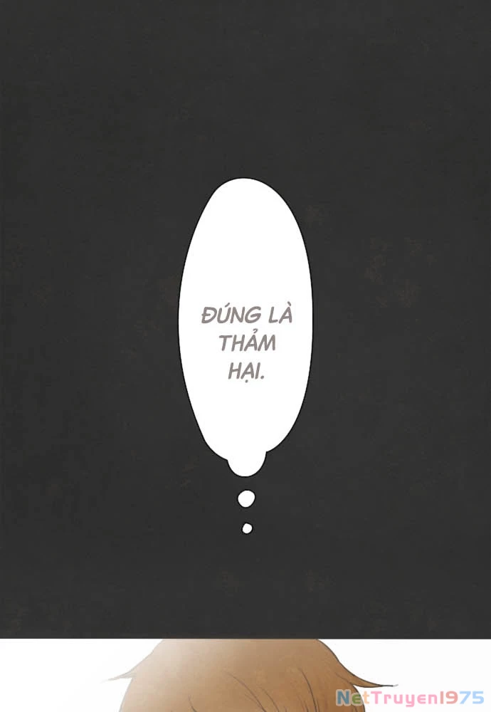 Hoa Cánh Sao Chapter 1 - 28