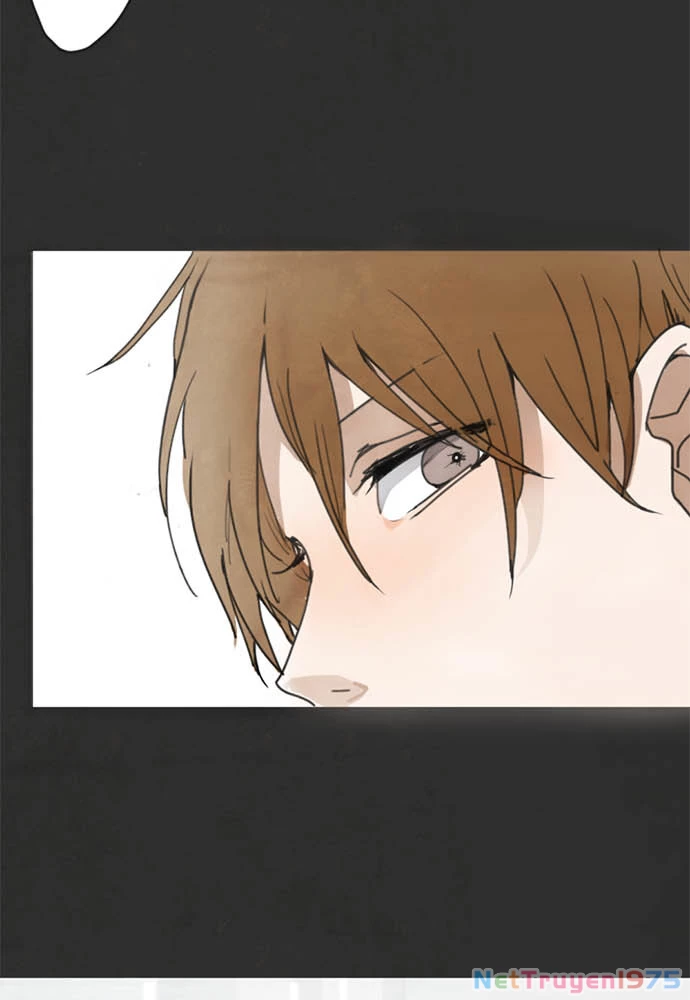 Hoa Cánh Sao Chapter 1 - 66